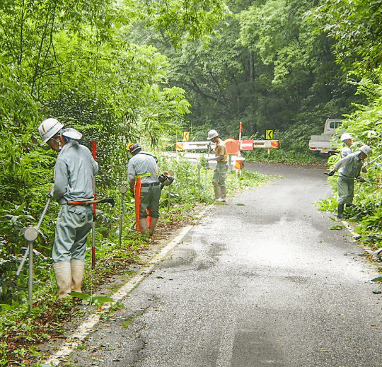 雲南で働く社員達