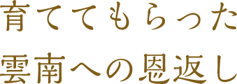 育ててもらった雲南への恩返し